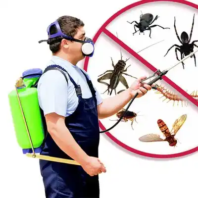 pest control Newfield
